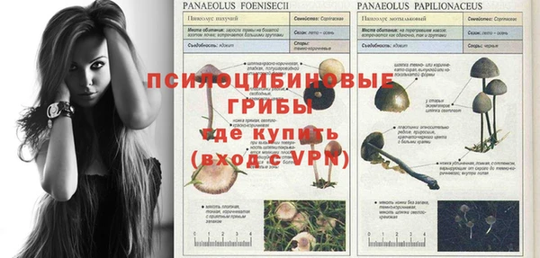 дмт Алексеевка